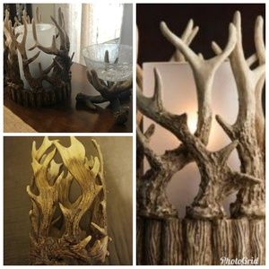 ISO PINK ZEBRA ANTLER s